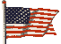 USA Government